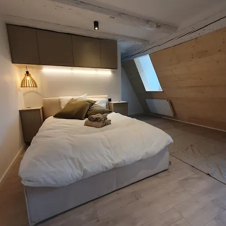 Les Appartements Hyper Centre Strasbourg Exterior photo