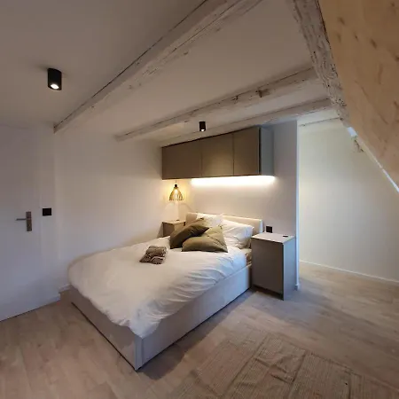 Les Appartements Hyper Centre Strasbourg Exterior photo