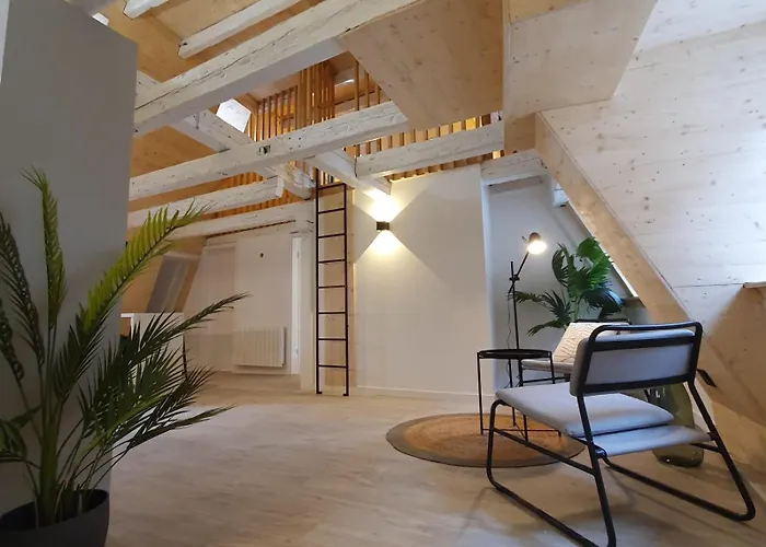 Les Appartements Hyper Centre
